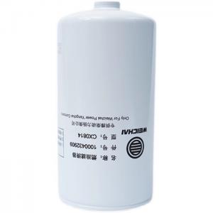 1000432909 Fuel Filter