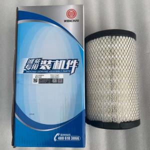 Weichai Air Filter 1001069804